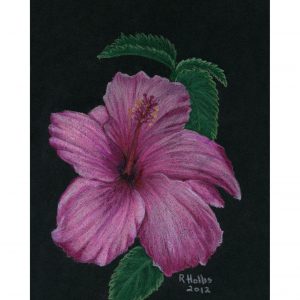 Flora