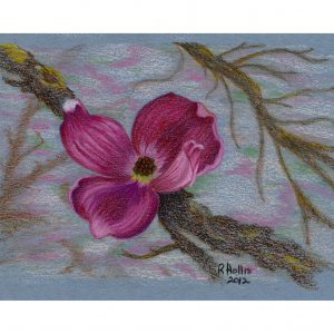 Dogwood 5″x 7″