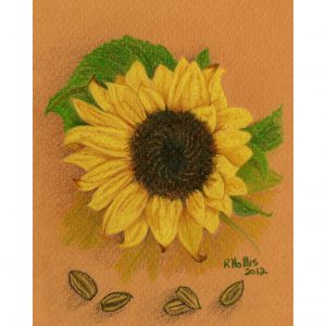 Sunflower 5″x 7″