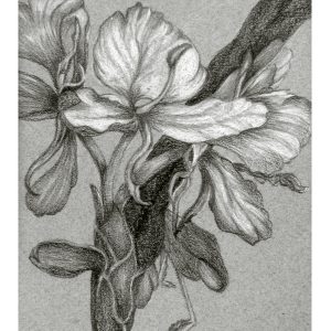Shades of Grey 5″x 7″