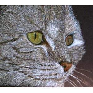Sam 9″x 12″