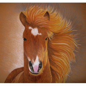 Fabio 10″x 10″