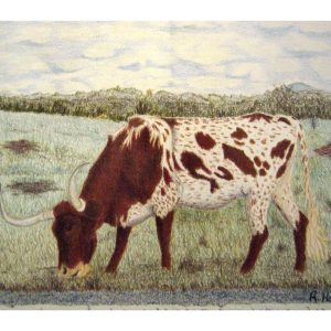 Tallehina Steer 8″x 10″