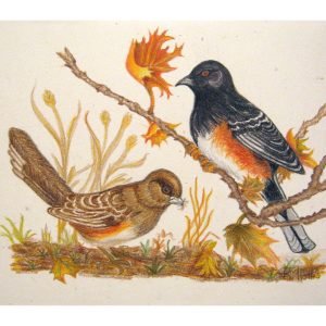 Looking for Breakfast 5″x 7″