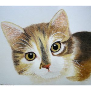 Calico 8″x 10″