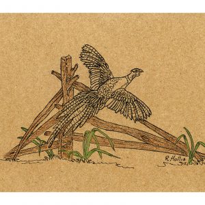 Pheasant on Broken Fence 5″x 7″