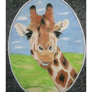 Hallooo! 9″x 12″