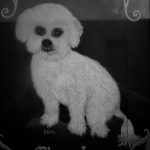 Blanche 9×12