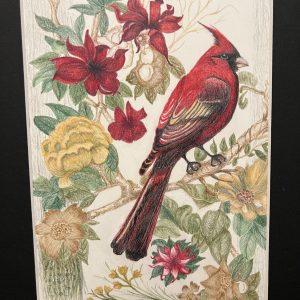 Single Cardinal