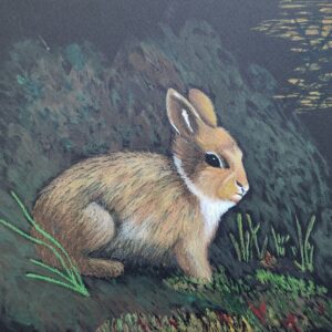 Honey Bunny 7×9